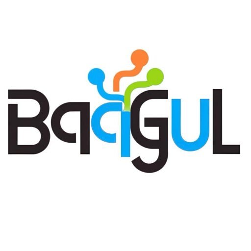 Baagul Marketing LLC